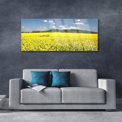 Tableaux sur verre Prairie nature jaune