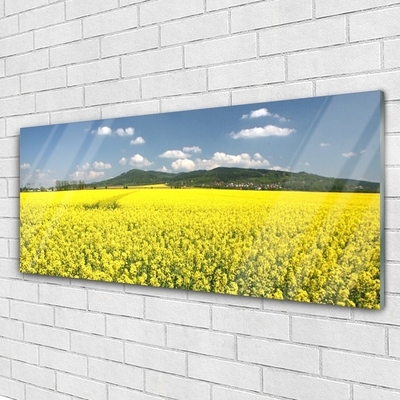 Tableaux sur verre Prairie nature jaune
