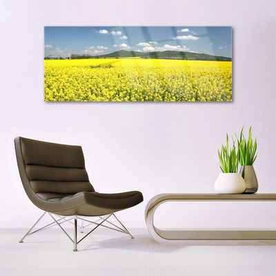 Tableaux sur verre Prairie nature jaune