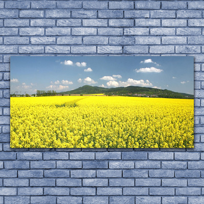 Tableaux sur verre Prairie nature jaune