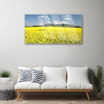 Tableaux sur verre Prairie nature jaune