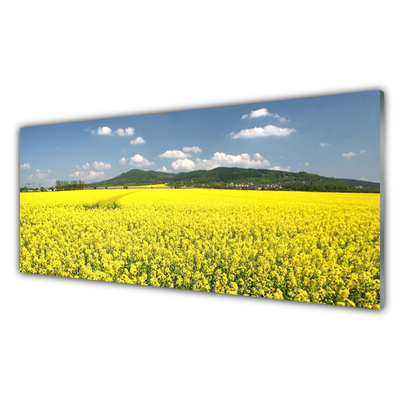 Tableaux sur verre Prairie nature jaune
