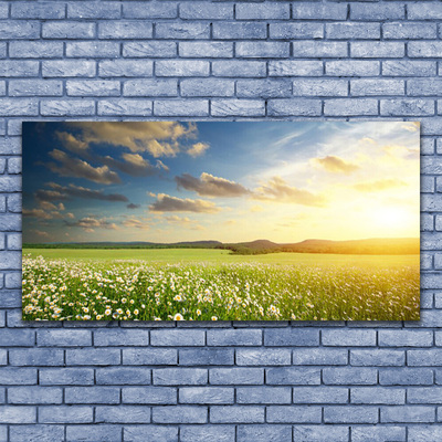 Tableaux sur verre Fleurs prairie paysage vert blanc