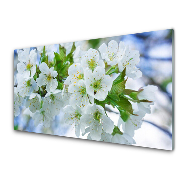 Tableaux sur verre Fleurs floral vert blanc