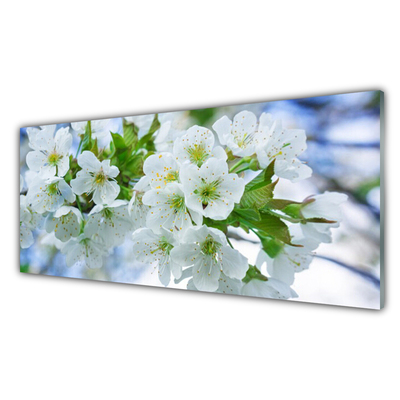 Tableaux sur verre Fleurs floral vert blanc