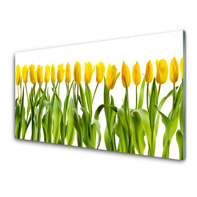 Tableaux sur verre Tulipes floral vert jaune