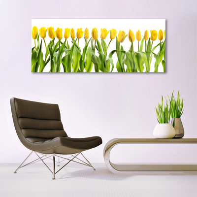 Tableaux sur verre Tulipes floral vert jaune