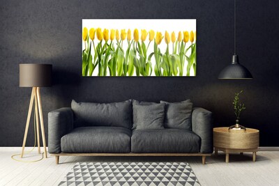 Tableaux sur verre Tulipes floral vert jaune