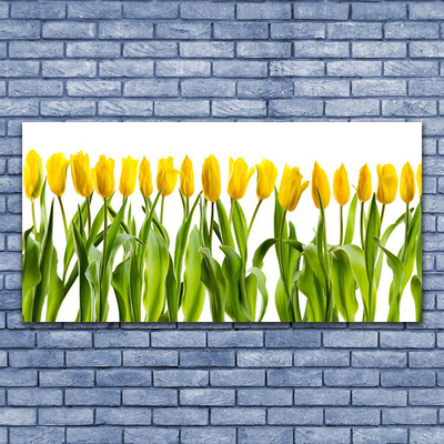 Tableaux sur verre Tulipes floral vert jaune