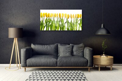 Tableaux sur verre Tulipes floral vert jaune