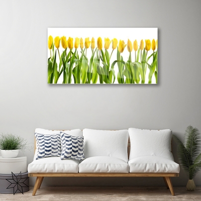 Tableaux sur verre Tulipes floral vert jaune