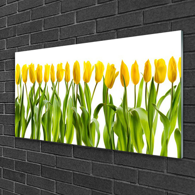 Tableaux sur verre Tulipes floral vert jaune