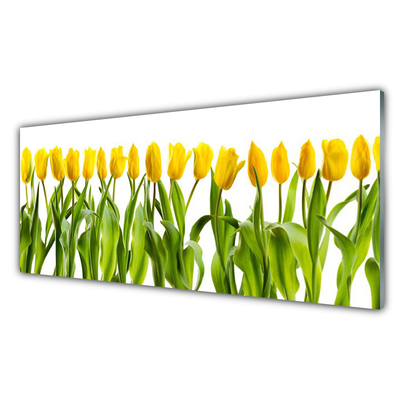 Tableaux sur verre Tulipes floral vert jaune