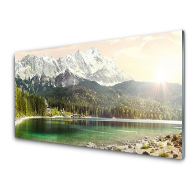 Tableaux sur verre Forêt montagnes lac paysage blanc gris vert