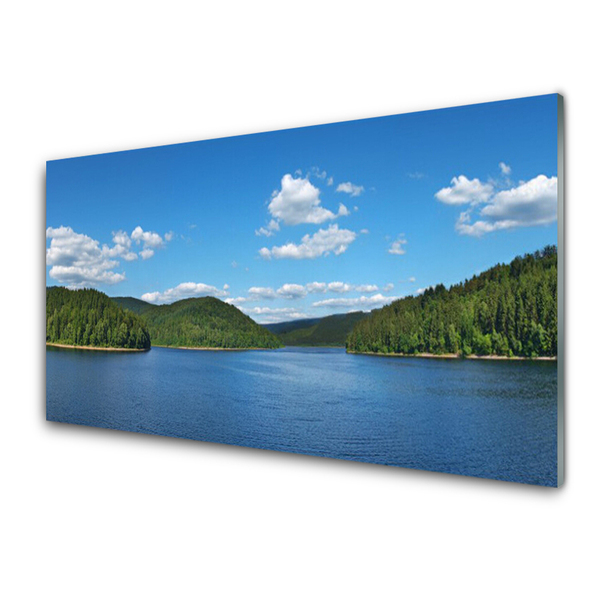 Tableaux sur verre Forêt lac paysage vert bleu