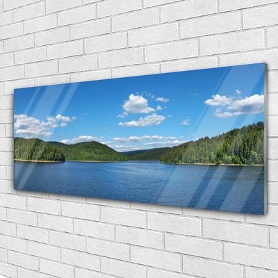 Tableaux sur verre Forêt lac paysage vert bleu