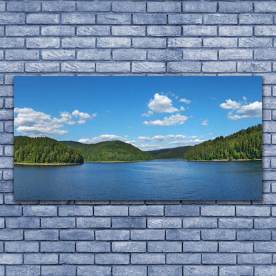 Tableaux sur verre Forêt lac paysage vert bleu