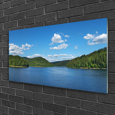 Tableaux sur verre Forêt lac paysage vert bleu