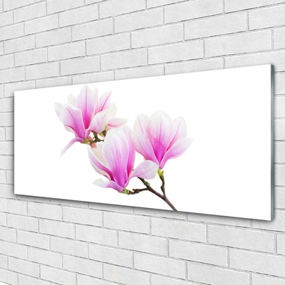 Tableaux sur verre Fleurs floral rose