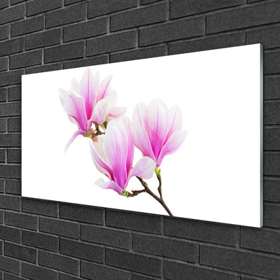 Tableaux sur verre Fleurs floral rose