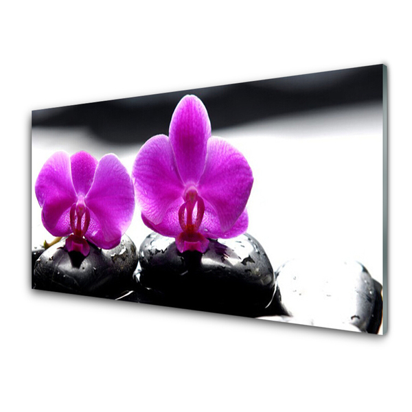 Tableaux sur verre Pierres fleurs floral rose noir