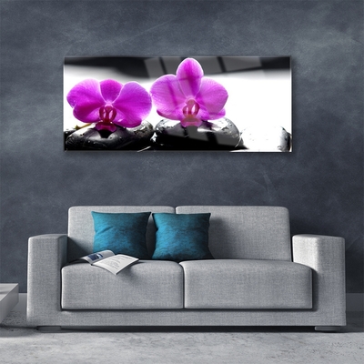 Tableaux sur verre Pierres fleurs floral rose noir