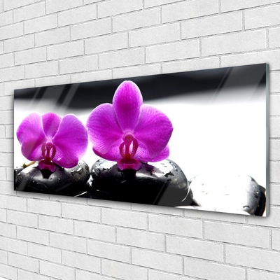 Tableaux sur verre Pierres fleurs floral rose noir