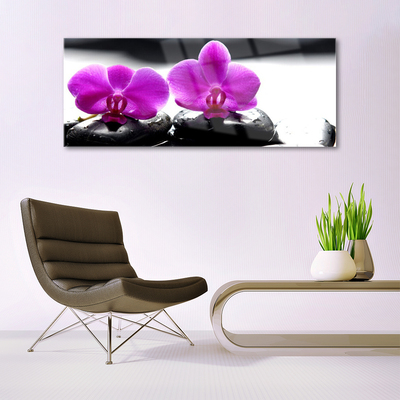 Tableaux sur verre Pierres fleurs floral rose noir