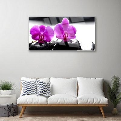 Tableaux sur verre Pierres fleurs floral rose noir