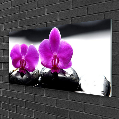 Tableaux sur verre Pierres fleurs floral rose noir