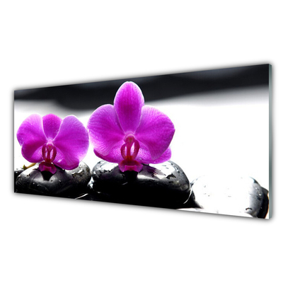 Tableaux sur verre Pierres fleurs floral rose noir