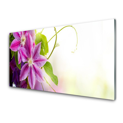 Tableaux sur verre Fleurs floral rose