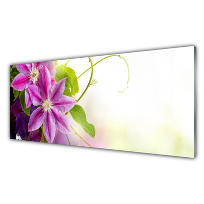 Tableaux sur verre Fleurs floral rose