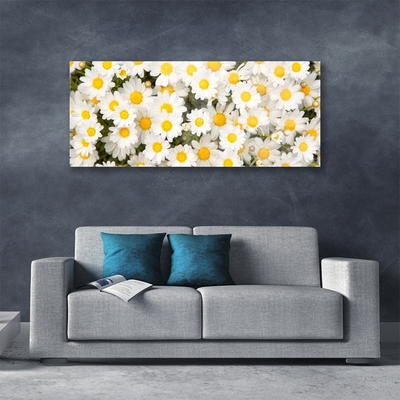 Tableaux sur verre Marguerite floral jaune blanc