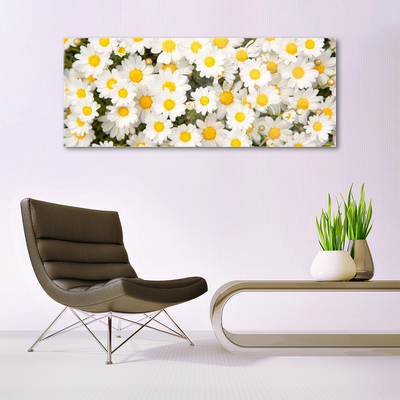 Tableaux sur verre Marguerite floral jaune blanc