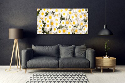 Tableaux sur verre Marguerite floral jaune blanc