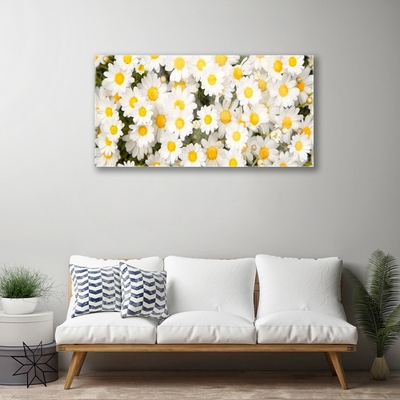 Tableaux sur verre Marguerite floral jaune blanc