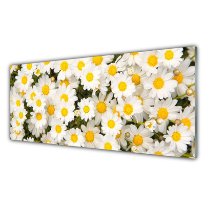 Tableaux sur verre Marguerite floral jaune blanc
