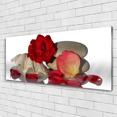 Tableaux sur verre Rose coquille art rouge blanc gris