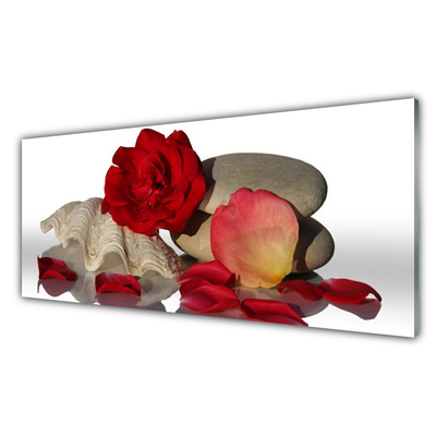 Tableaux sur verre Rose coquille art rouge blanc gris