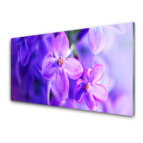 Tableaux sur verre Fleurs floral rose