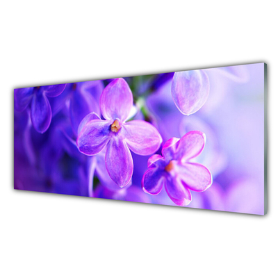 Tableaux sur verre Fleurs floral rose