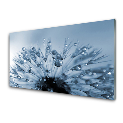 Tableaux sur verre Pissenlit floral bleu