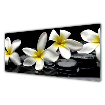 Tableaux sur verre Pierres fleurs floral vert blanc noir
