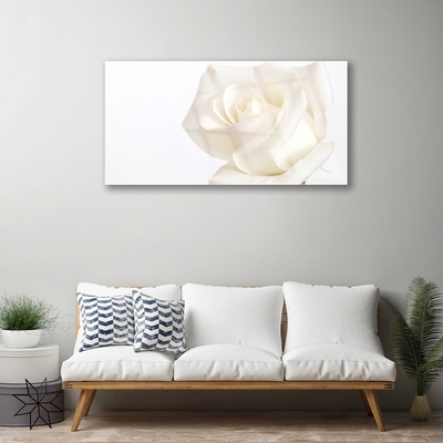Tableaux sur verre Rose floral blanc