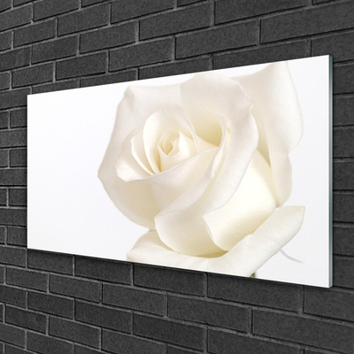 Tableaux sur verre Rose floral blanc
