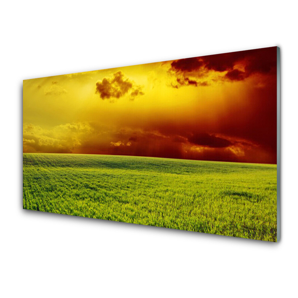 Tableaux sur verre Champ paysage vert