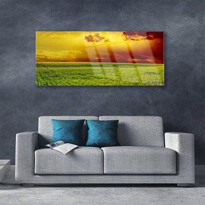 Tableaux sur verre Champ paysage vert