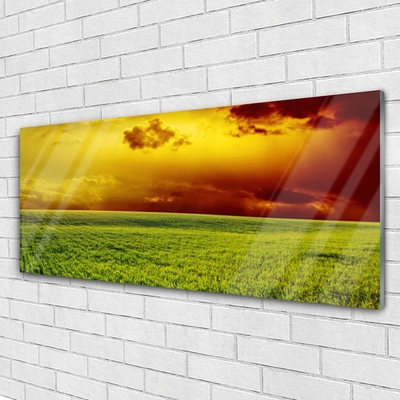 Tableaux sur verre Champ paysage vert