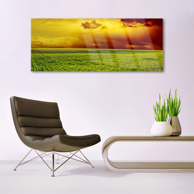 Tableaux sur verre Champ paysage vert